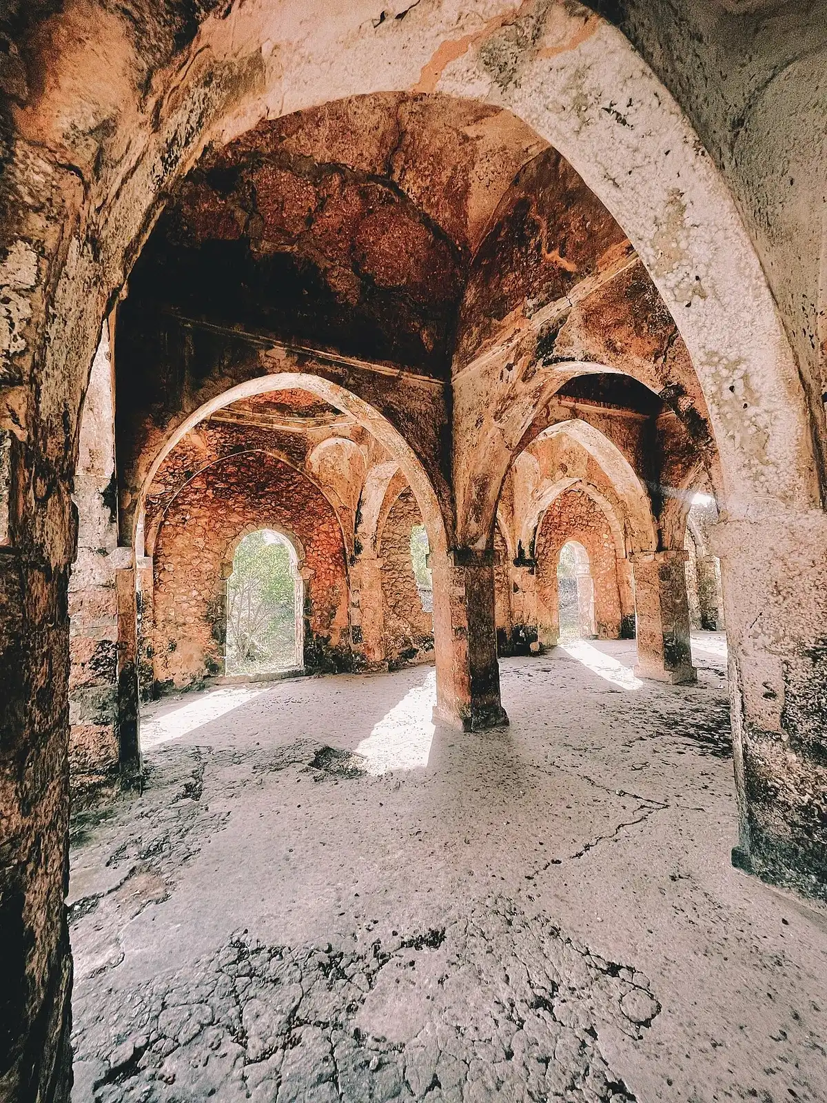 Arches and vaulted masonry inside the Great Mosque at Kilwa Kisiwani.
