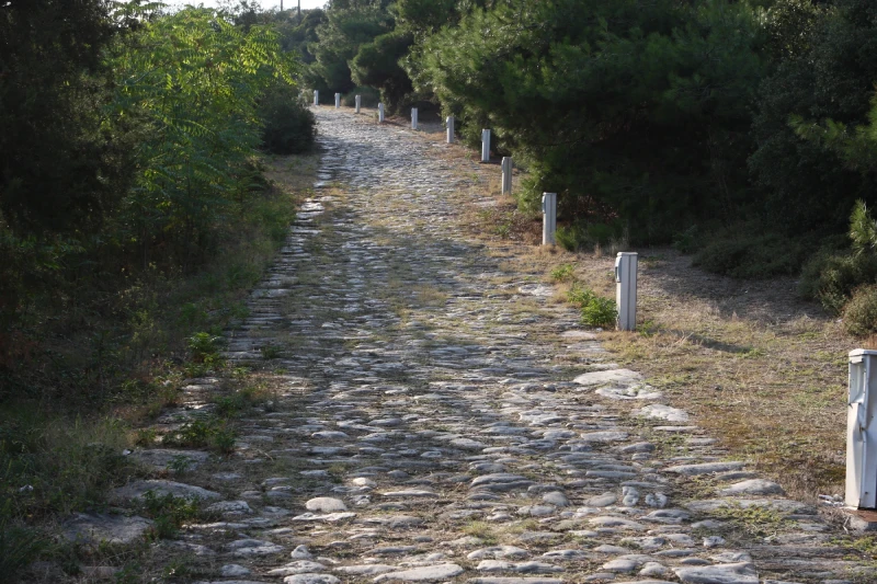 Stone-paved path curving uphill between trees and white marker posts at Kavala.